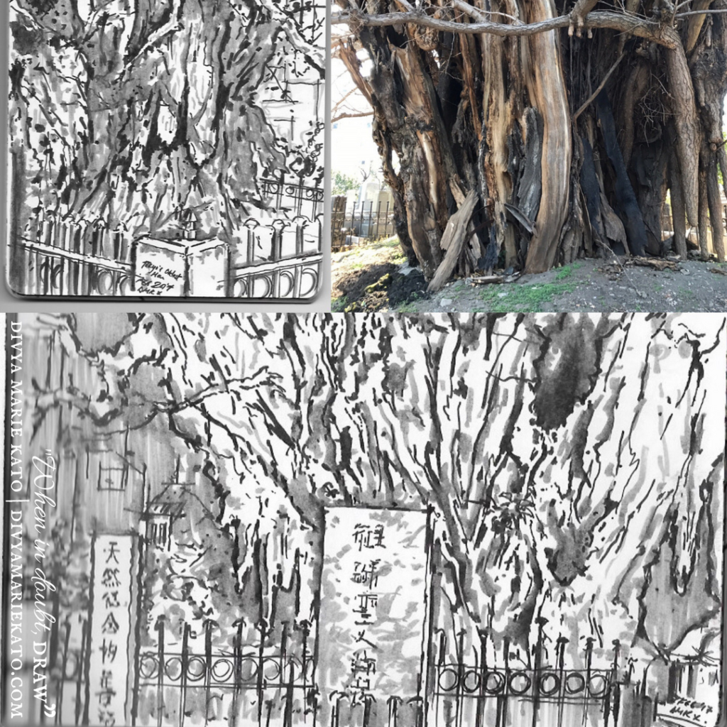 Tokyo's Oldest Tree DMK Drawing