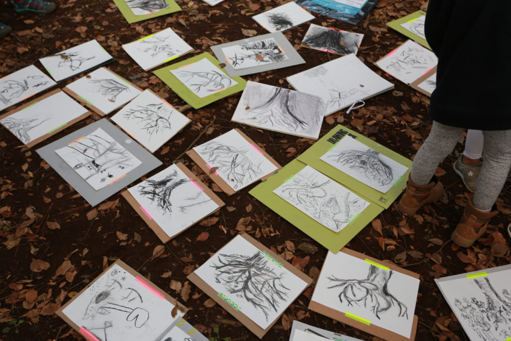 Exploring Our Roots: Drawing Tree Roots