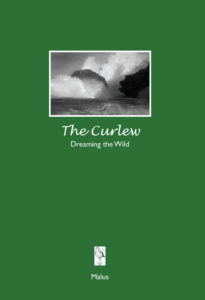 The Curlew Nature Journal